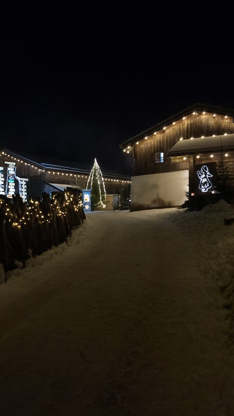 Eingangsbereich Heimatmuseum Arlerhof mit Weihnachtsbaum