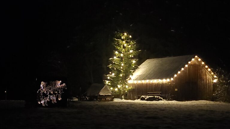 Stadl mit beleuchtetem Baum und Lichtinstallation